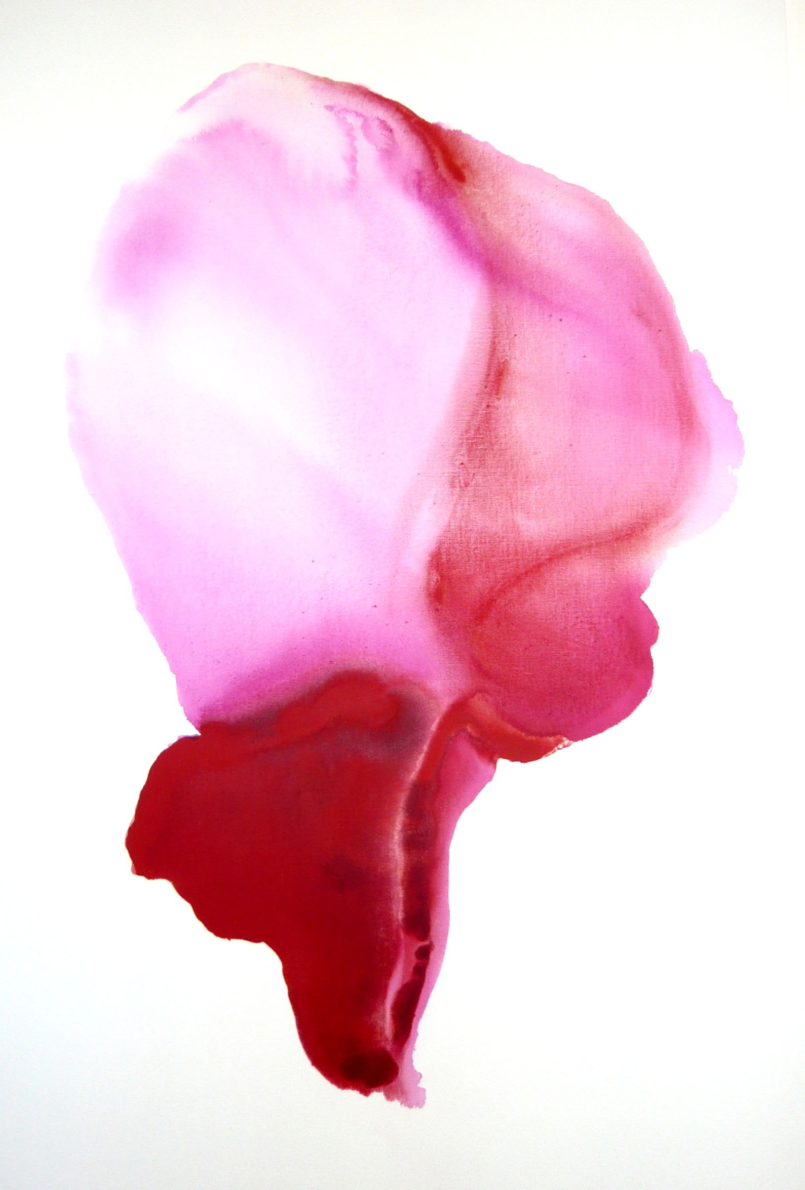 natalie lamotte, 2008-T02, 195x130cm, acrylique sur toile