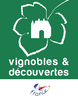 vignoble-decouverte